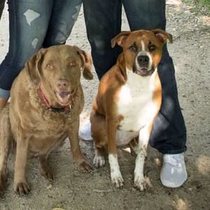 Meet your Posher, Kevin